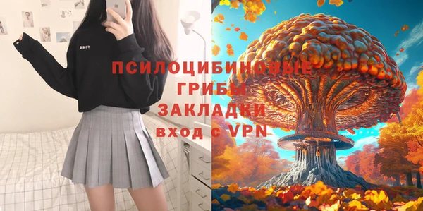 дживик Беломорск