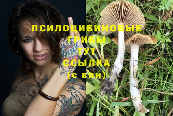 дживик Беломорск