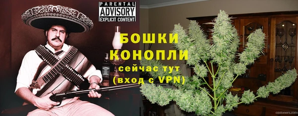 дживик Беломорск